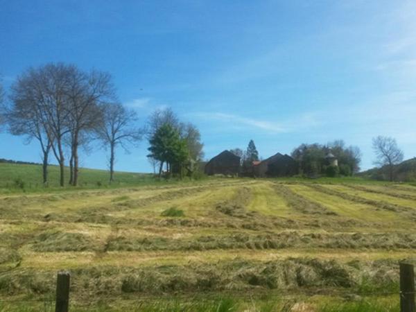 Chambres D Hotes Chateau D Arcis Les Granges  Kültér fotó